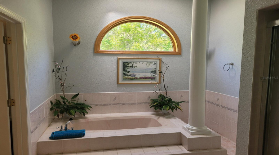 KISSIMMEE, Florida 34746, 5 Bedrooms Bedrooms, ,2 BathroomsBathrooms,Residential,For Sale,APPALOOSA,0,MFRTB8502920