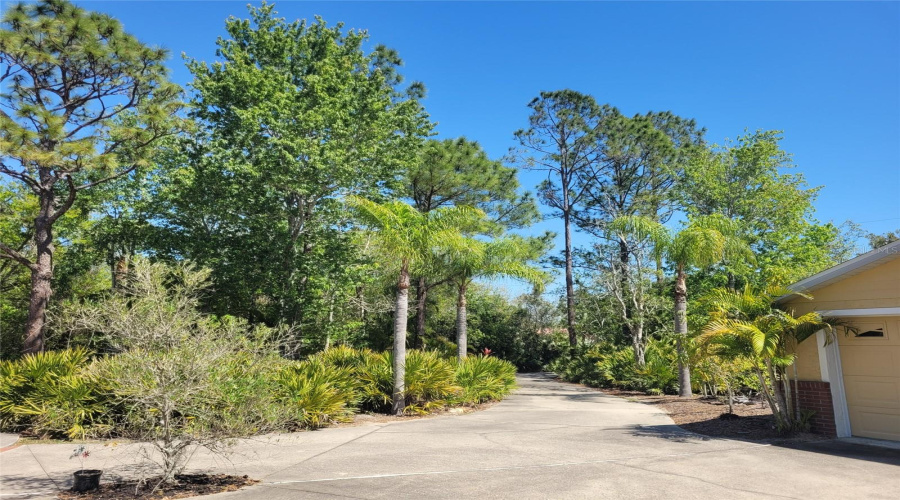 KISSIMMEE, Florida 34746, 5 Bedrooms Bedrooms, ,2 BathroomsBathrooms,Residential,For Sale,APPALOOSA,0,MFRTB8502920