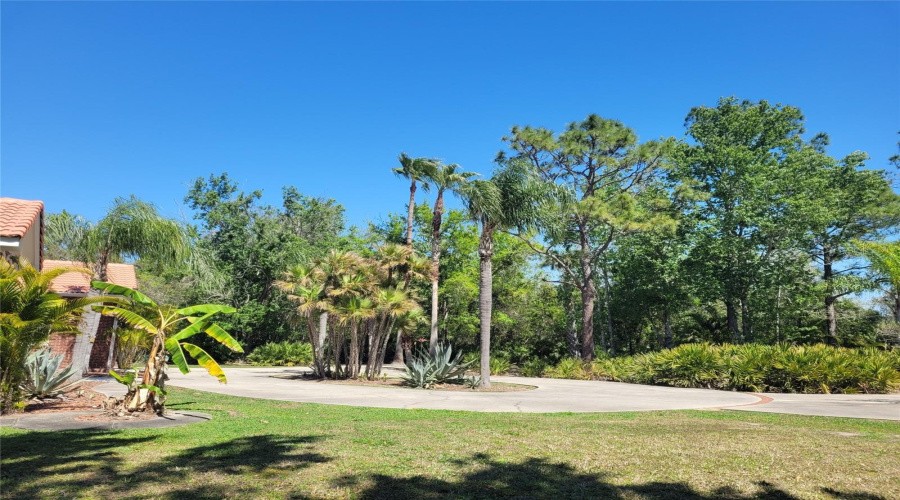 KISSIMMEE, Florida 34746, 5 Bedrooms Bedrooms, ,2 BathroomsBathrooms,Residential,For Sale,APPALOOSA,0,MFRTB8502920