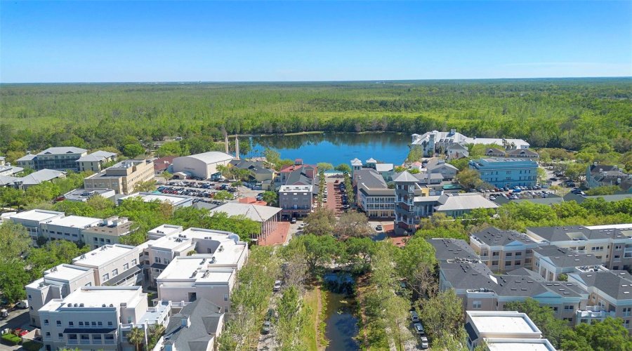 CELEBRATION, Florida 34747, 3 Bedrooms Bedrooms, ,2 BathroomsBathrooms,Residential,For Sale,PAWSTAND,0,MFRS5149179