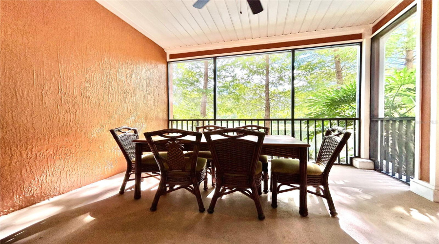 Porch / Lanai