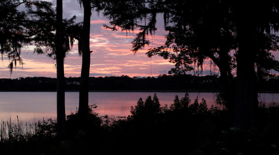 ORLANDO, Florida 32836, 3 Bedrooms Bedrooms, ,2 BathroomsBathrooms,Residential,For Sale,FALLSGROVE,0,MFRS5149314