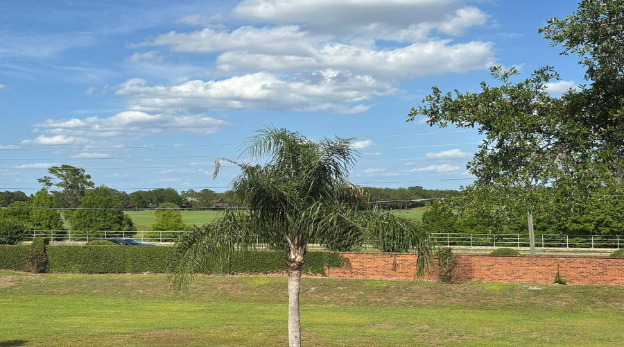 ORLANDO, Florida 32836, 3 Bedrooms Bedrooms, ,2 BathroomsBathrooms,Residential,For Sale,FALLSGROVE,0,MFRS5149314