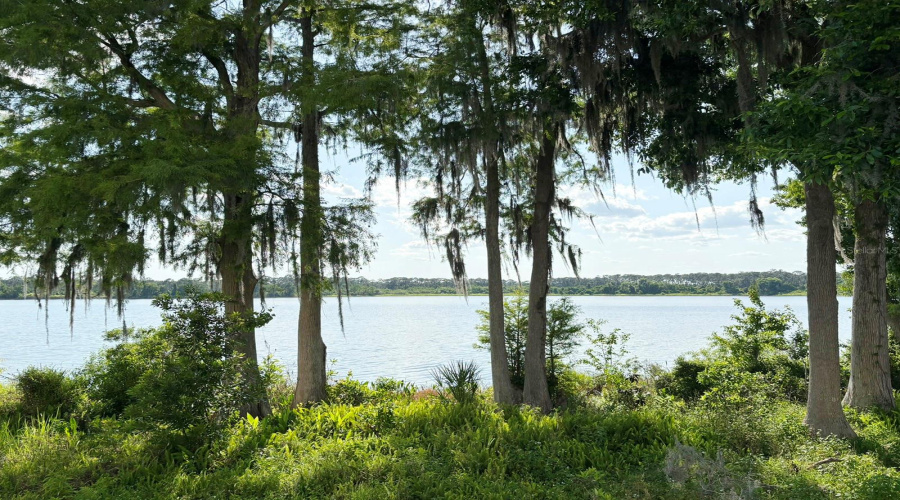 ORLANDO, Florida 32836, 3 Bedrooms Bedrooms, ,2 BathroomsBathrooms,Residential,For Sale,FALLSGROVE,0,MFRS5149314