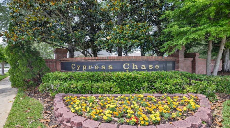 ORLANDO, Florida 32836, 3 Bedrooms Bedrooms, ,2 BathroomsBathrooms,Residential,For Sale,PECKY CYPRESS,0,MFRO6404360