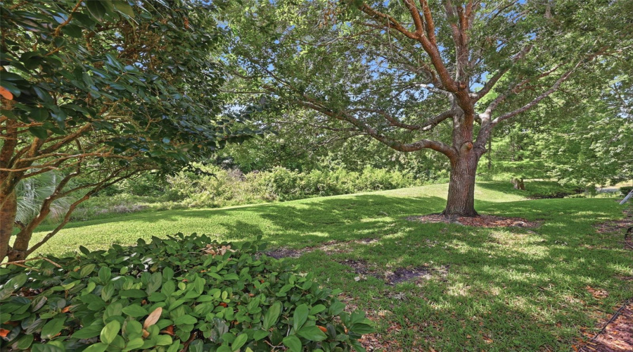 DAVENPORT, Florida 33896, 3 Bedrooms Bedrooms, ,2 BathroomsBathrooms,Residential,For Sale,RIVERDALE,0,MFRS5149344
