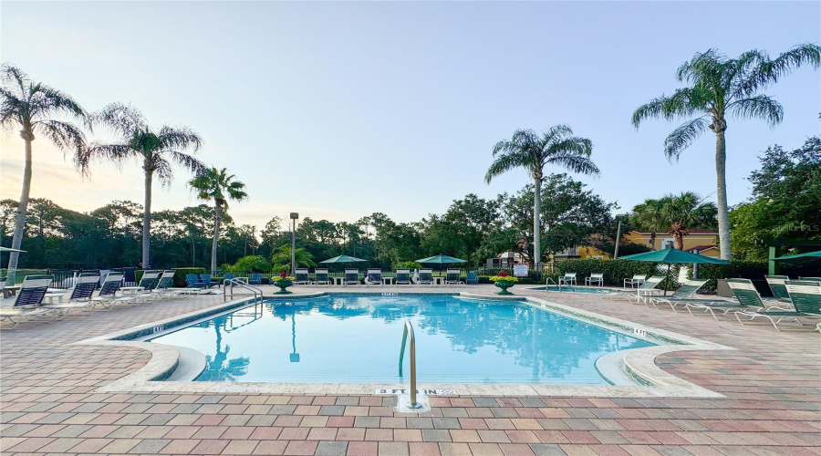 Main Pool
