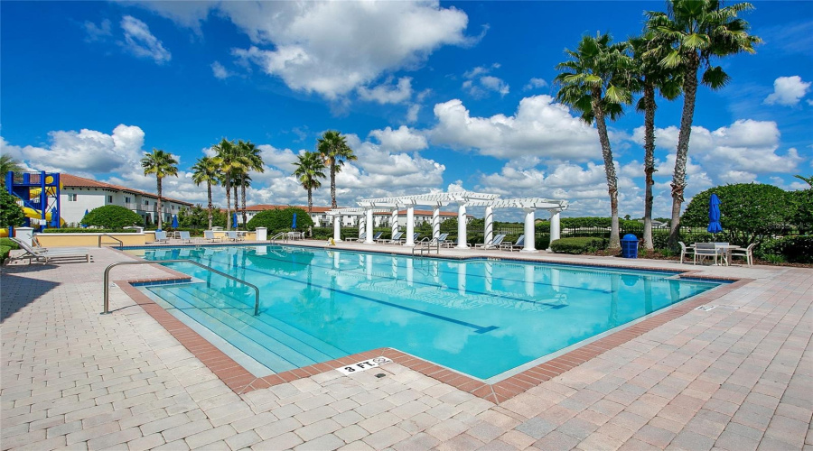 Community pool with lounge areas and palm lined setting.