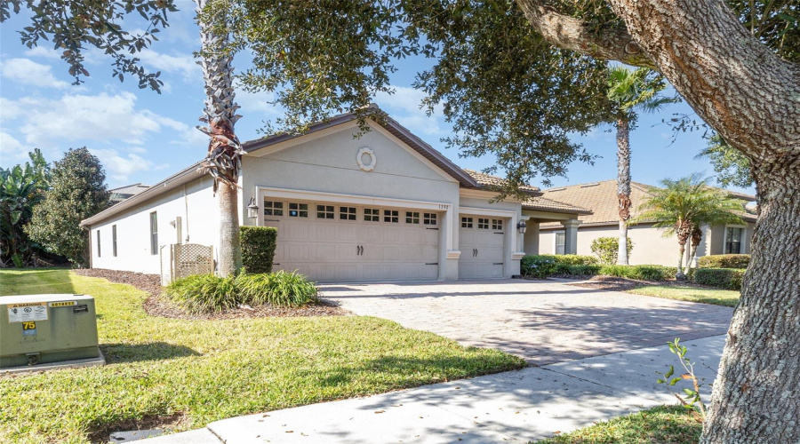 DAVENPORT, Florida 33896, 4 Bedrooms Bedrooms, ,3 BathroomsBathrooms,Residential,For Sale,PALMETTO DUNES,0,MFRS5138818