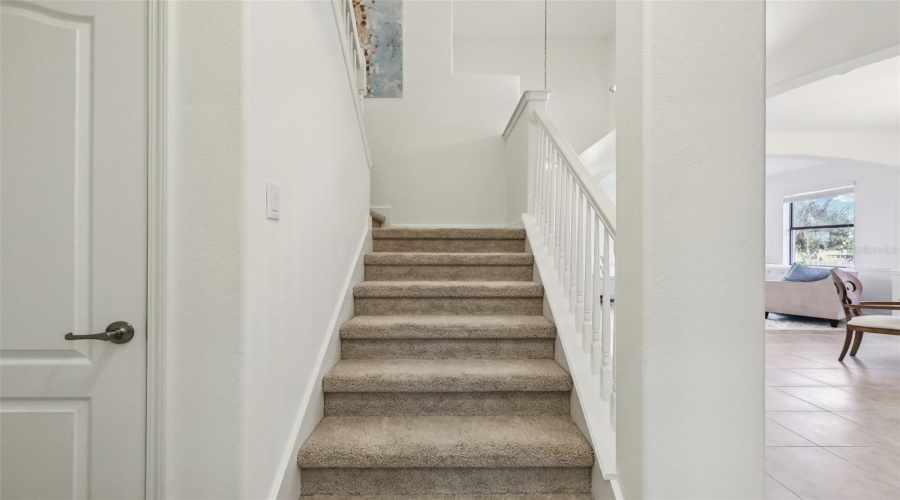 Carpeted Stairs
