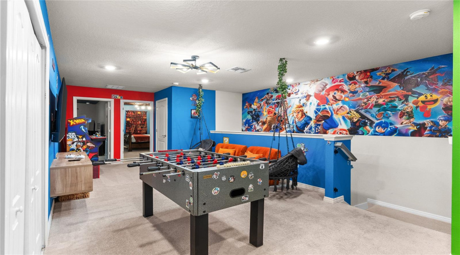 Entertainment Room