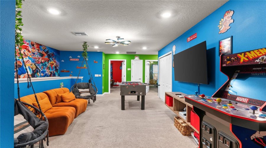 Entertainment Room