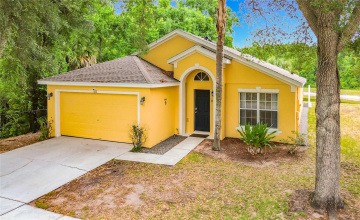Property Search