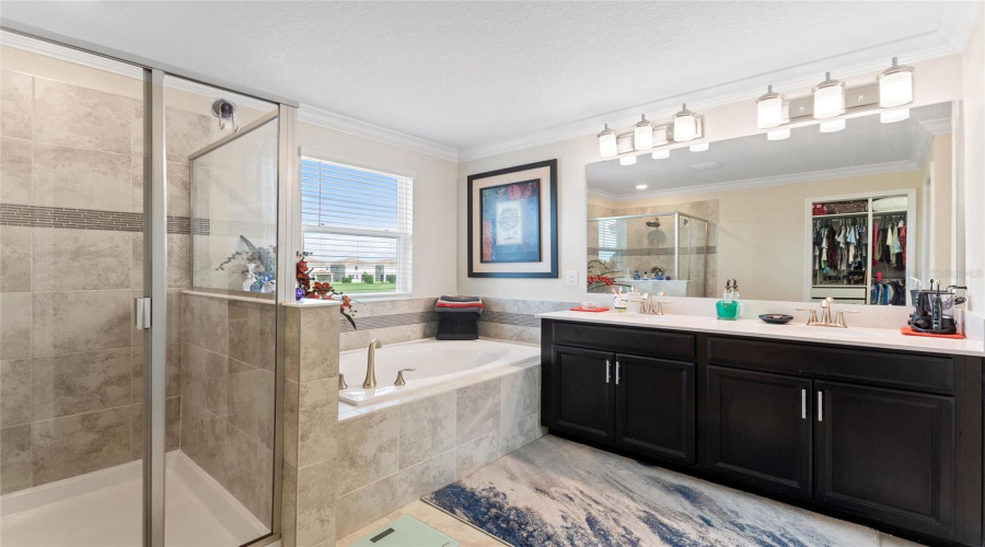 DAVENPORT, Florida 33896, 6 Bedrooms Bedrooms, ,4 BathroomsBathrooms,Residential,For Sale,BLACKWOLF RUN RD,0,MFRS5149957