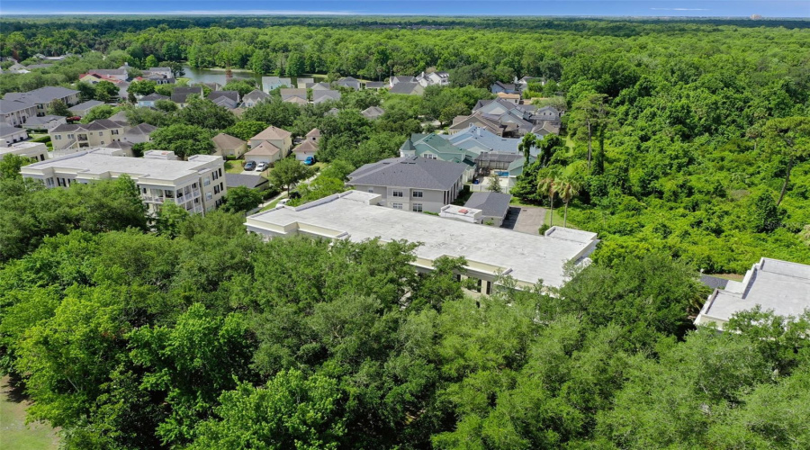 CELEBRATION, Florida 34747, 3 Bedrooms Bedrooms, ,2 BathroomsBathrooms,Residential,For Sale,SPRING PARK,0,MFRO6408021
