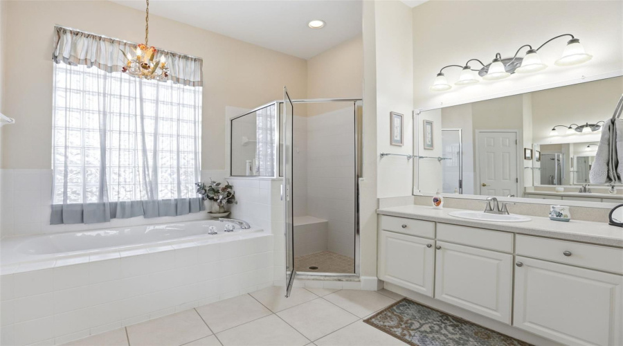 Primary Bathroom- Soaking Tub- Shower Stall