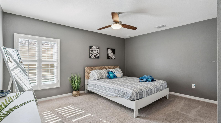 Third Bedroom