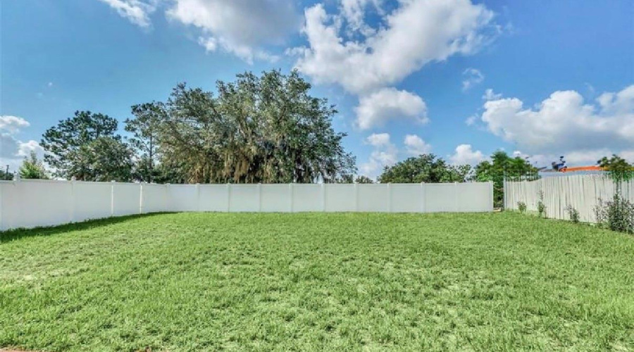 Large Yard