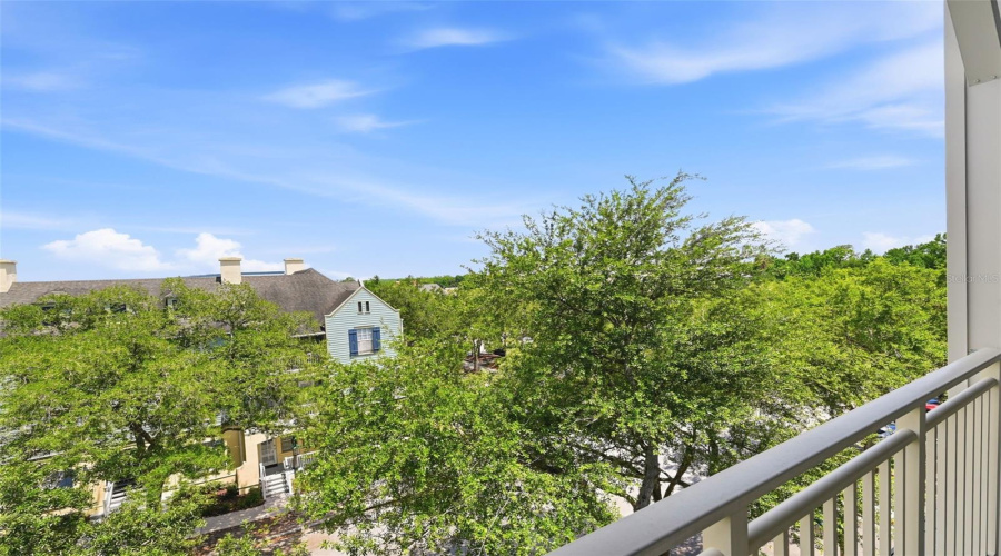 Penthouse Tree Top Views!