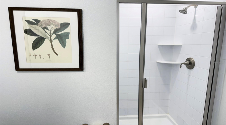 DAVENPORT, Florida 33896, 5 Bedrooms Bedrooms, ,4 BathroomsBathrooms,Residential,For Sale,SPLASH SHOT,0,MFRO6403610