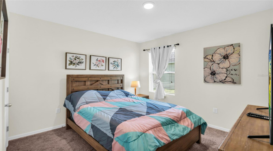 Guest Bed