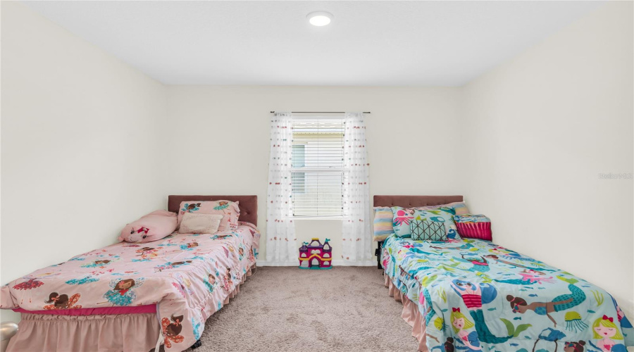 Guest Bed