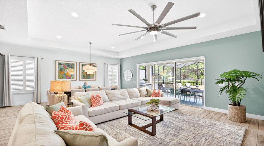 Living room with tray ceiling