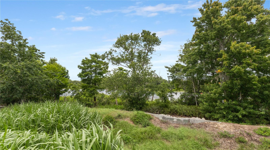 Peaceful Scenic Views from the Backyard