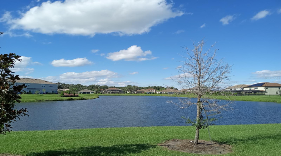 KISSIMMEE, Florida 34746, 3 Bedrooms Bedrooms, ,2 BathroomsBathrooms,Residential,For Sale,LANDING NET,0,MFRO6356725