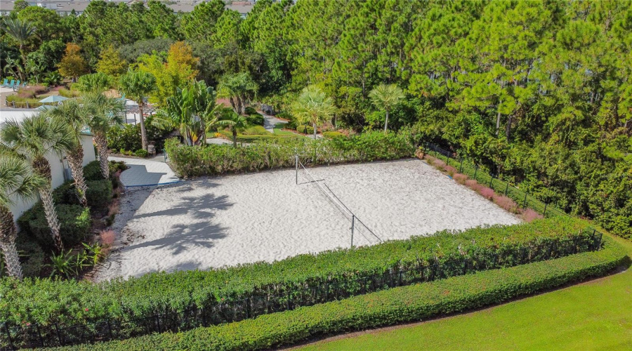 Volleyball courts