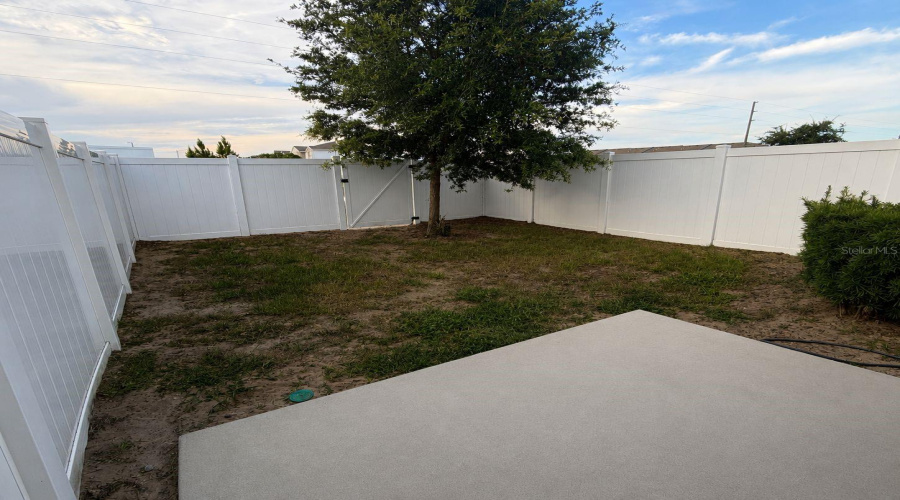 Fully Fenced