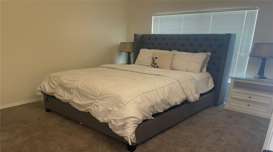 Downstairs office /5 bedroom with closet