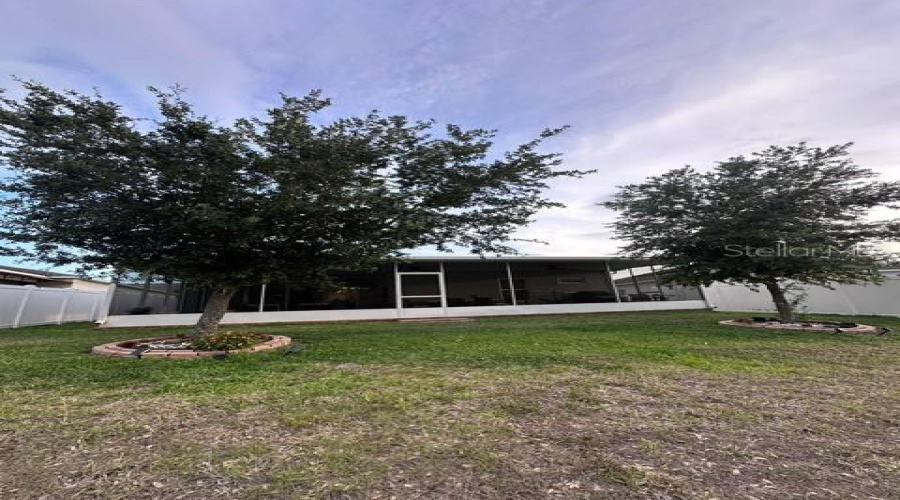 Backyard1