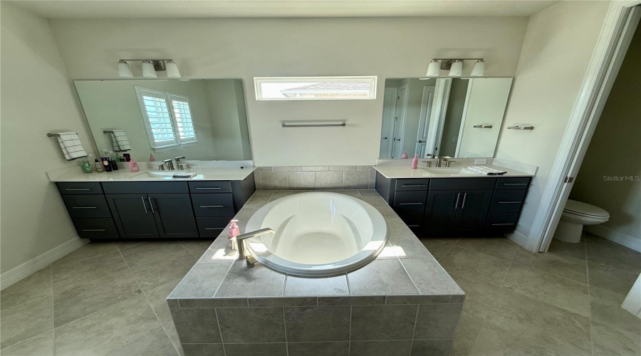 ORLANDO, Florida 32836, 5 Bedrooms Bedrooms, ,4 BathroomsBathrooms,Residential,For Sale,PARK CLIFF,0,MFRS5150293