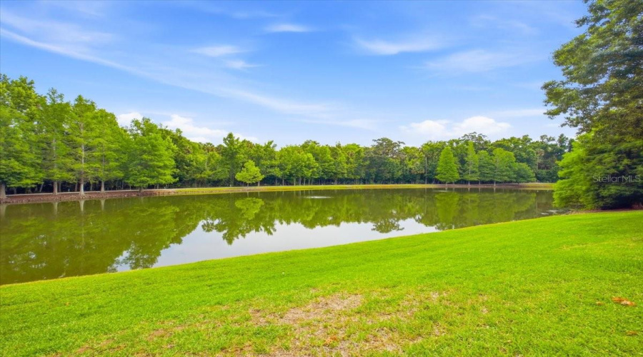 CELEBRATION, Florida 34747, 3 Bedrooms Bedrooms, ,3 BathroomsBathrooms,Residential,For Sale,STONECUTTER,0,MFRO6410862