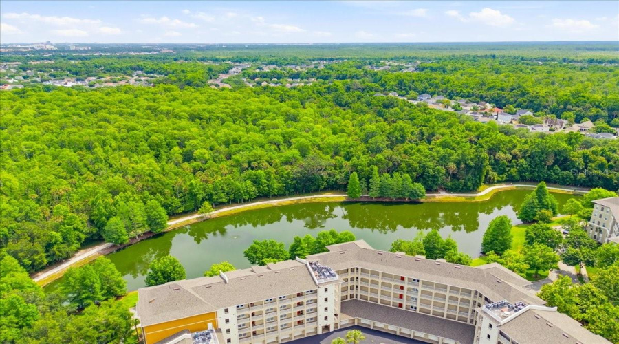 CELEBRATION, Florida 34747, 3 Bedrooms Bedrooms, ,3 BathroomsBathrooms,Residential,For Sale,STONECUTTER,0,MFRO6410862