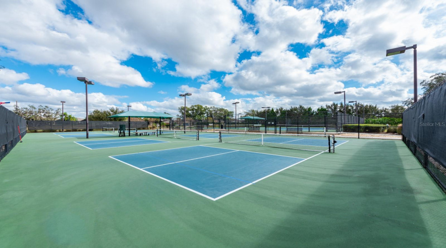 Pickleball and Tennis courts
