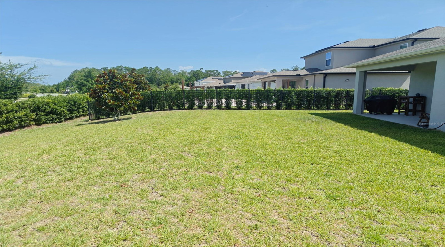 backyard is fenced on both sides