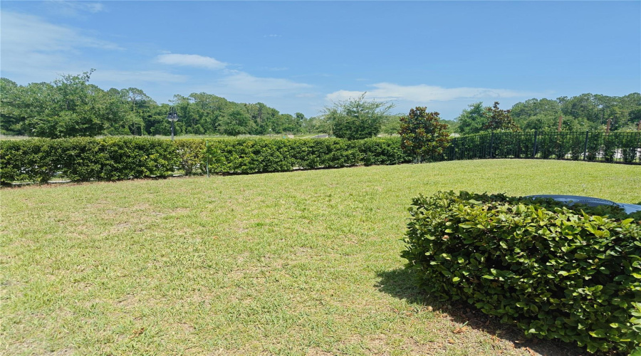 backyard with no houses behind