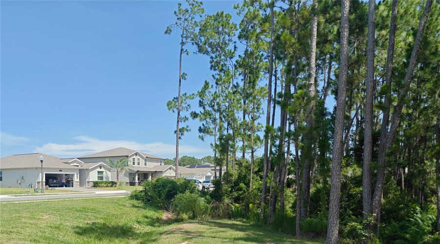 looking across the street to the house