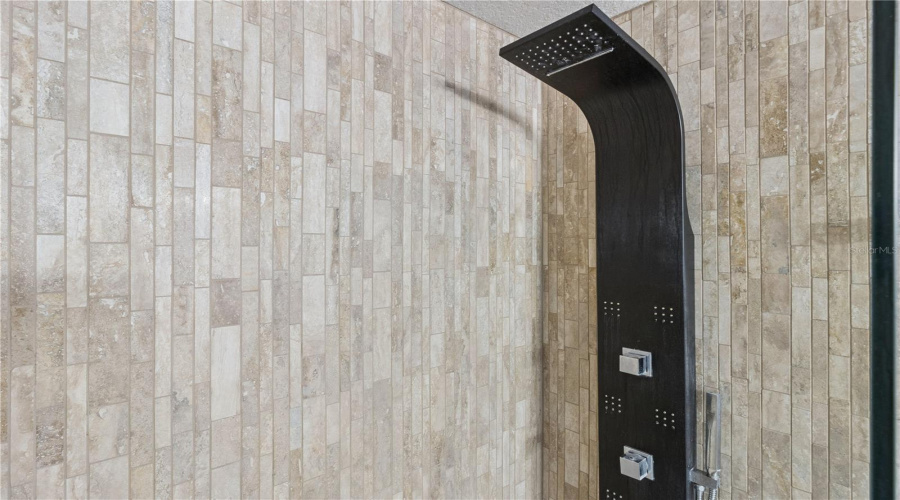 Primary Shower