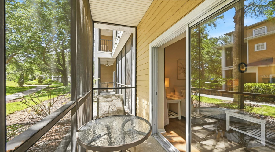 Patio 1
