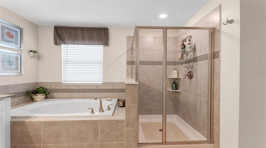 DAVENPORT, Florida 33896, 5 Bedrooms Bedrooms, ,4 BathroomsBathrooms,Residential,For Sale,BLACKWOLF RUN RD,0,MFRS5150917