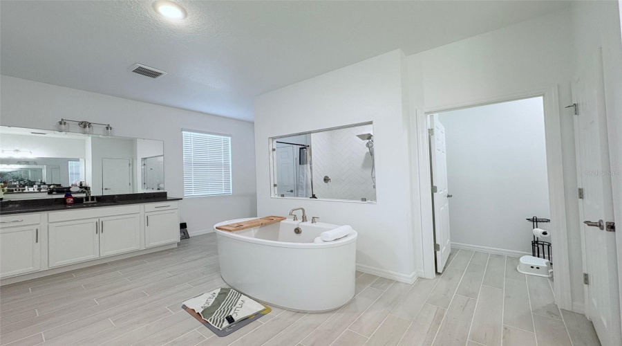 Master bathroom