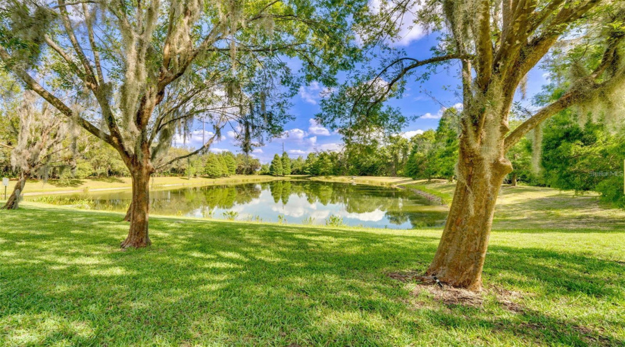KISSIMMEE, Florida 34747, 3 Bedrooms Bedrooms, ,2 BathroomsBathrooms,Residential,For Sale,CRYSTAL COVE,0,MFRS5150921