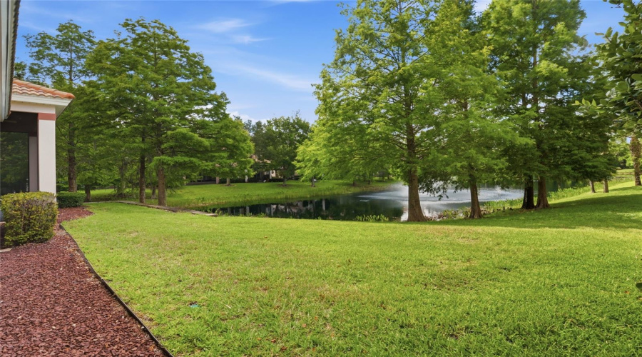 View from back yard