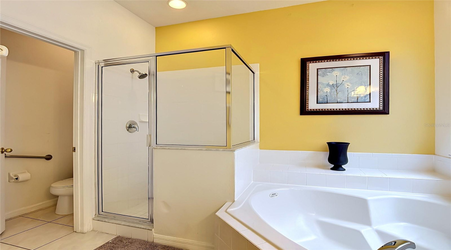Garden Tub and Separate Shower