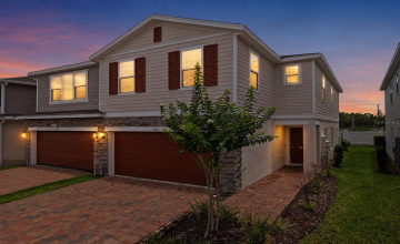 Property Search