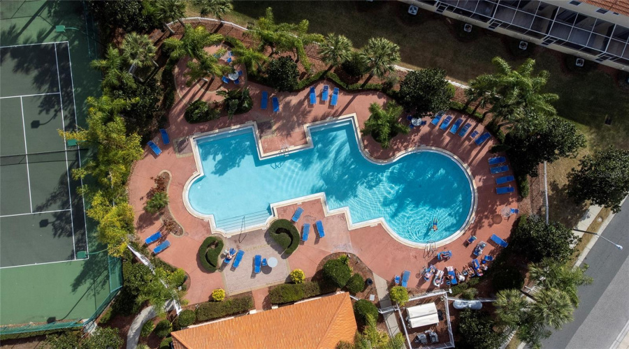 Community Pool
