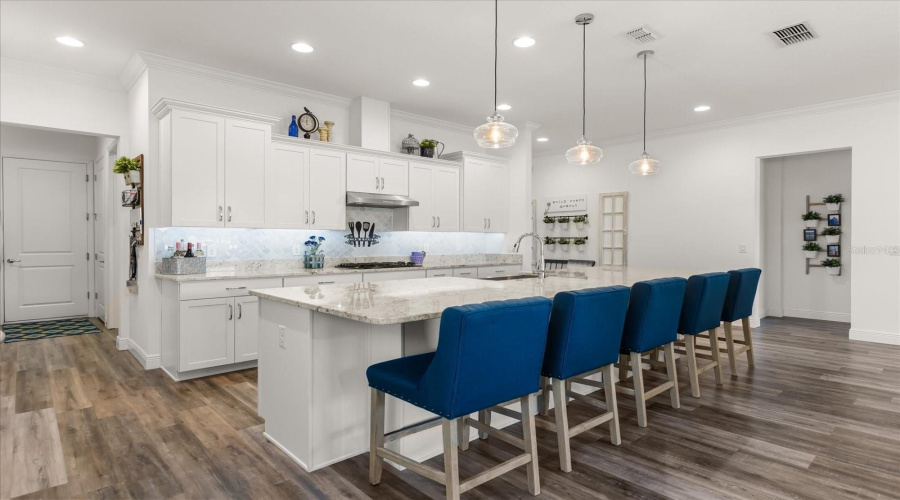 Gourmet Kitchen with Massive Island- Quartz countertops